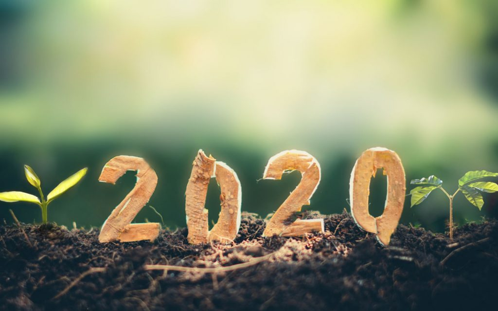 2020-year-vegan